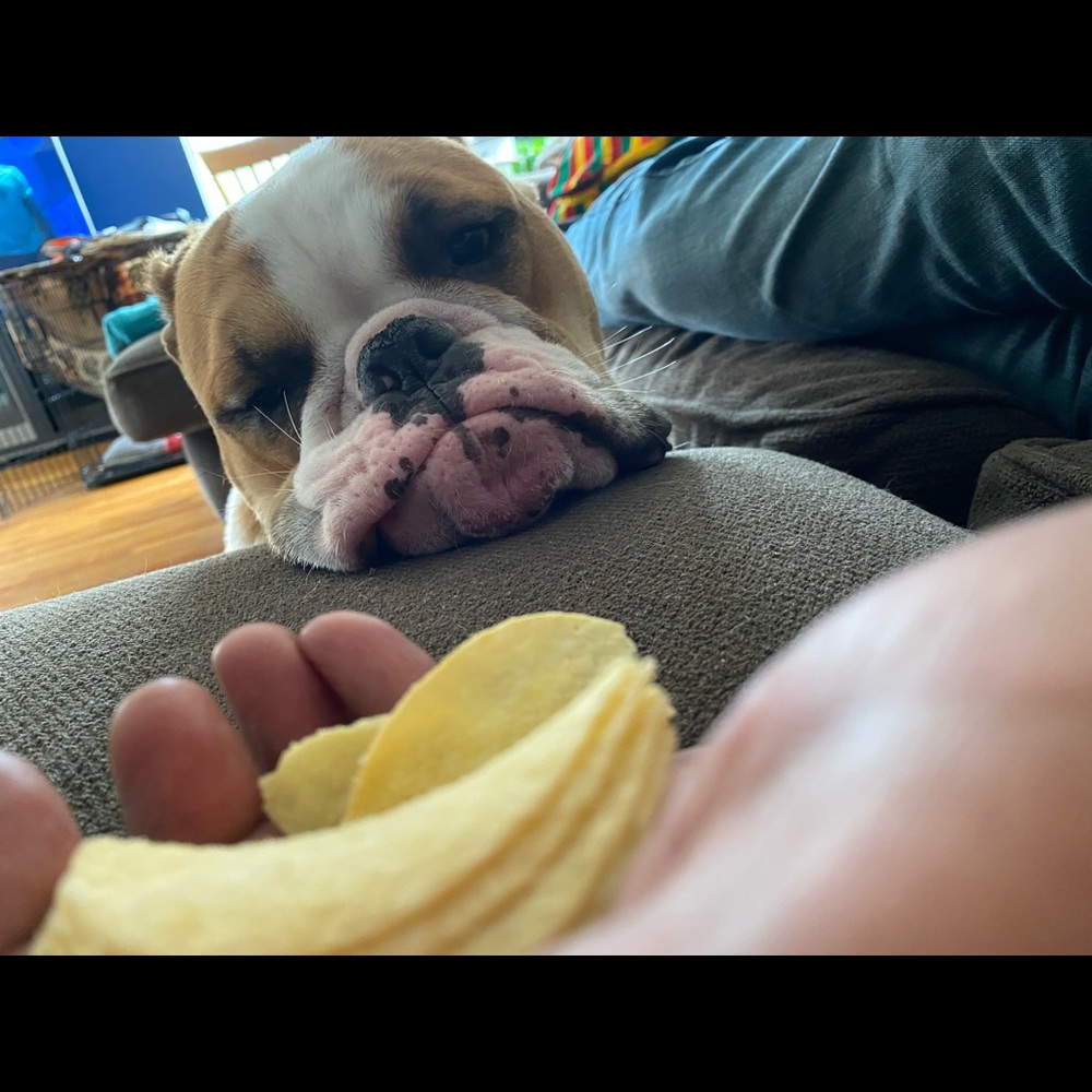 Meet your Posher, Reggie